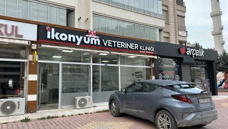 İkonyum Veteriner Kliniği: Kedinizin Sağlığı İçin En İyi Hizmet